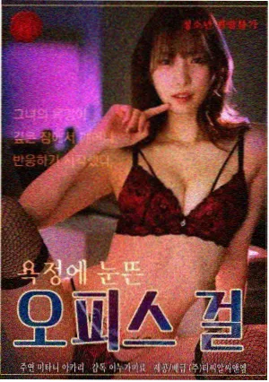 南岸信笺剧集封面
